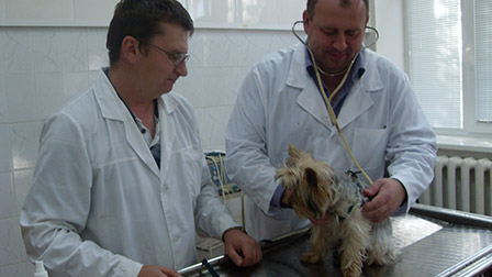 Лаборатории нашей ветеринарной станции